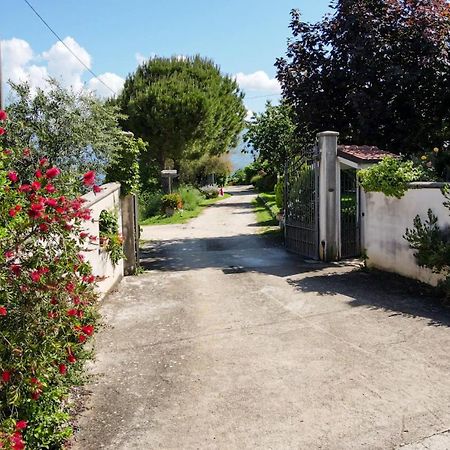 La Staccionata Villa Arpino ภายนอก รูปภาพ